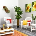 thumbnail image 4 of Nearly Natural Green 6' Corn Stalk Dracaena Artificial Plant (Real Touch), 4 of 4