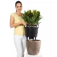 thumbnail image 3 of Lechuza USA 17" Black Round Classico Planter with Water Reservoir, 3 of 7