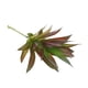 thumbnail image 2 of Plantas suculentas artificiales, hierba de loto, agave, plantas decorativas realistas n. degree 18, 2 of 9