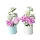 thumbnail image 2 of KAKOWELY 2 miniadornos para el hogar, minibonsái, planta en maceta, accesorio paisajístico para el hogar, 2 of 5