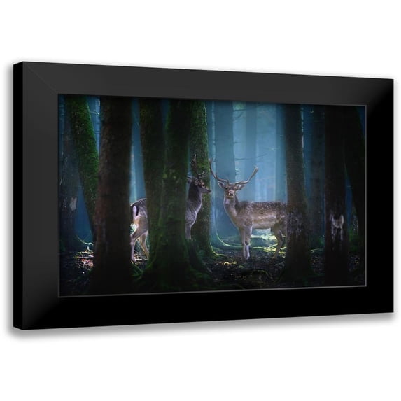 Aurednik, Patrick 18x13 Black Modern Framed Museum Art Print Titled - Deers