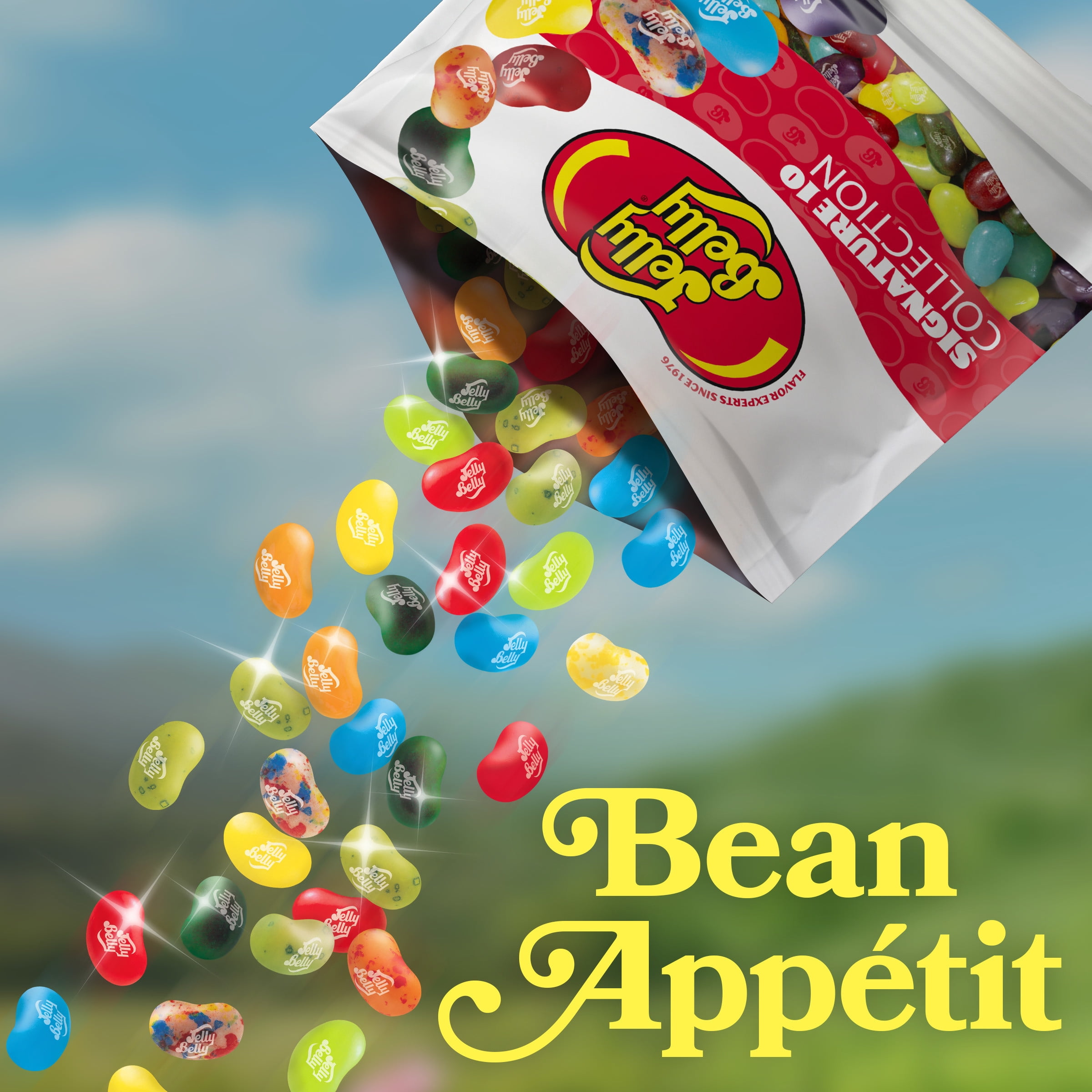 Jelly Belly Signature 10 Jelly Bean Collection - 1 oz Bags, 30-Count Case - Genuine, Official, Straight from the Source