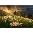 thumbnail image 3 of Komovec, Ales 14x11 Black Modern Framed Museum Art Print Titled - White carpet, 3 of 5