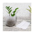 thumbnail image 5 of 200 plant sacks plant sacks made of fleece plant sacks biodegradable (8 × 10, 16 × 20 cm), 5 of 5