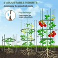 thumbnail image 6 of Spaco 3 Pack 60 inch Adjustable Tall Plant Support Trellis for Outdoor, Plant Support for Climbing Plants, Green, 6 of 11