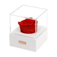 thumbnail image 1 of Flores eternas LED, lámpara de escritorio de flores preservadas, luz nocturna para el día de San Valentín Rojo Yuyangstore Luces de flores preservadas, 1 of 8
