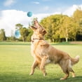 thumbnail image 4 of Interactive Dog Ball Toy - Automatic Motion Activated Rolling & Jumping Ball for Small Medium Dogs, Durable Anti-Chew Puppy Toys to Keep Pets Busy with Bouncing & Rotating Action, 4 of 4