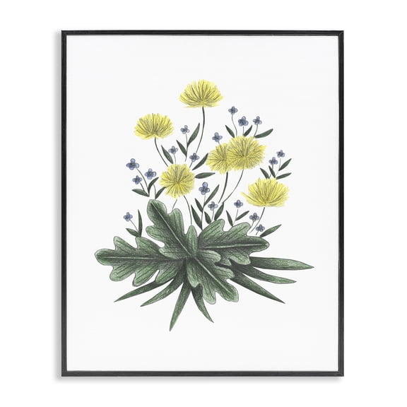 Dandelion Flower Illustration Black Framed Giclee Art, design by Cecilia Battaini