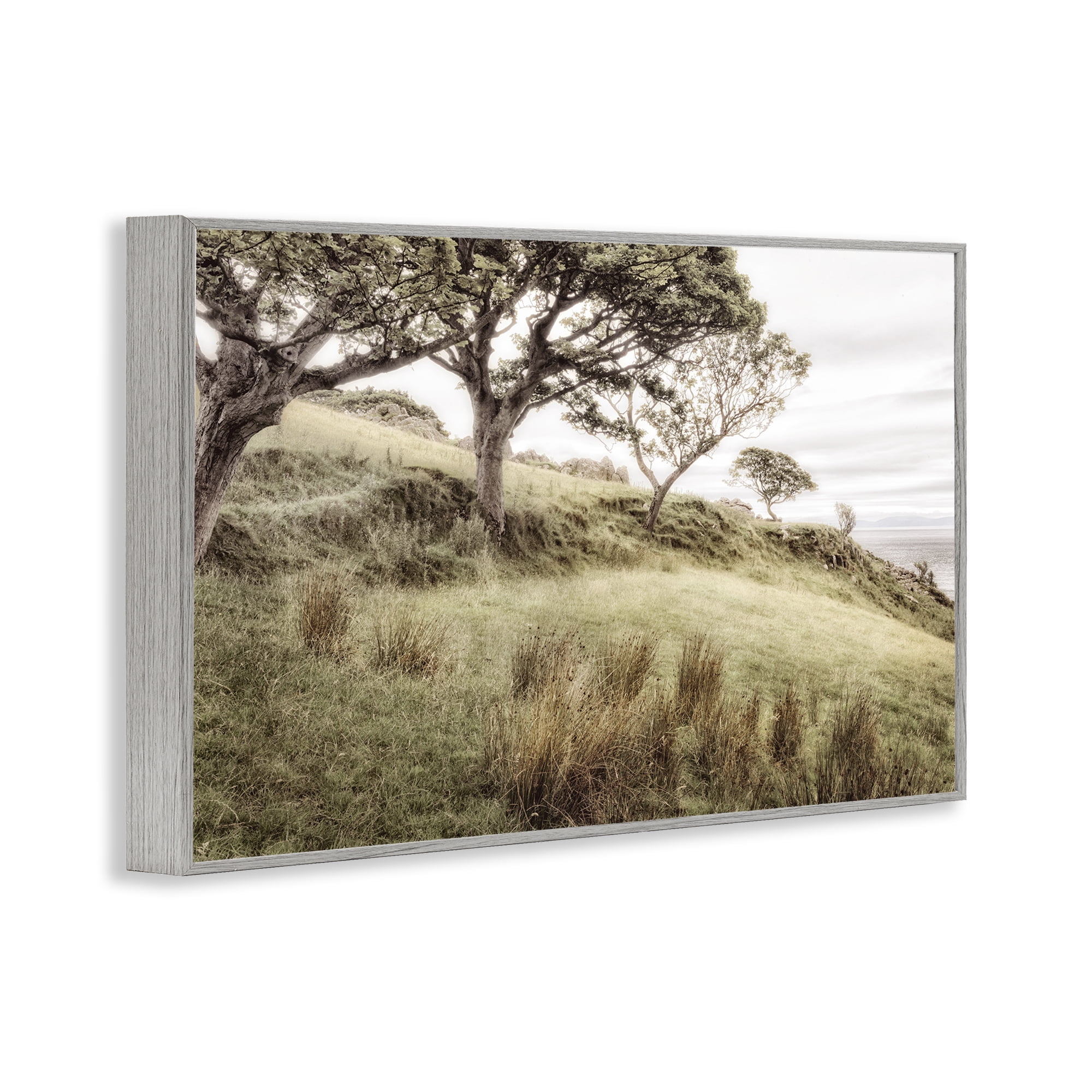 Stupell Industries Irish Hillside Landscape Gray Framed Giclee Art, design by Andy Amos