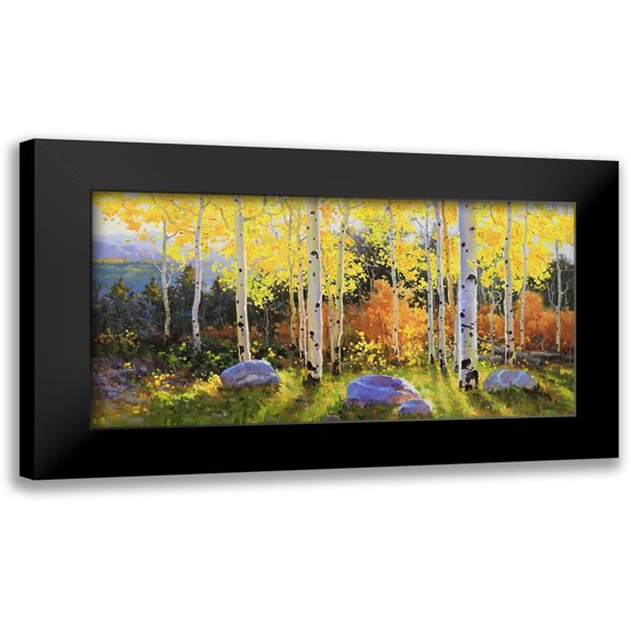 Kim, Gary 14x9 Black Modern Framed Museum Art Print Titled - Horizontal of Aspen Vista Sunset
