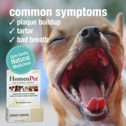 HomeoPet DOGGY DENTAL, Water Additive, Dental Care Support Drops for Dogs, 15 mL