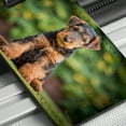 thumbnail image 6 of Airedale Terrier Dog Puppy Photo Faux Leather Travel Luggage Tag, 6 of 7