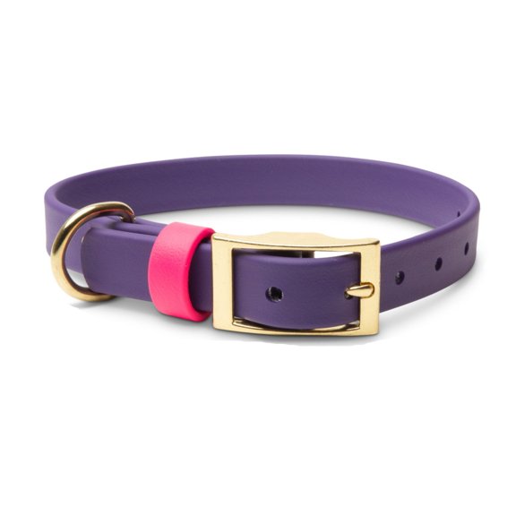 PawFurEver's Purple Dog Collar (Waterproof & Odorless)