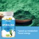 thumbnail image 5 of Espirulina orgánica: salud cardiovascular, salud ocular y cerebral, antioxidante - 120 s, 5 of 5