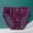 A_Purple, variant on Swuxness Women's Seamless High Waisted Brief Fashion Breathable Crotch Soft Stretch Comfortable Plus Size Panties