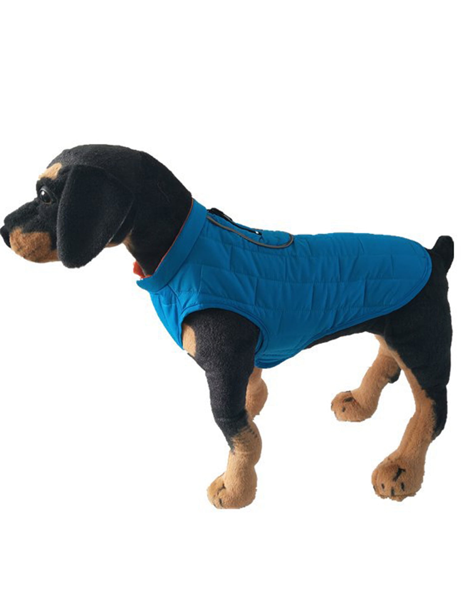 puppy coat