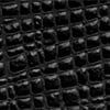 Checkered Black