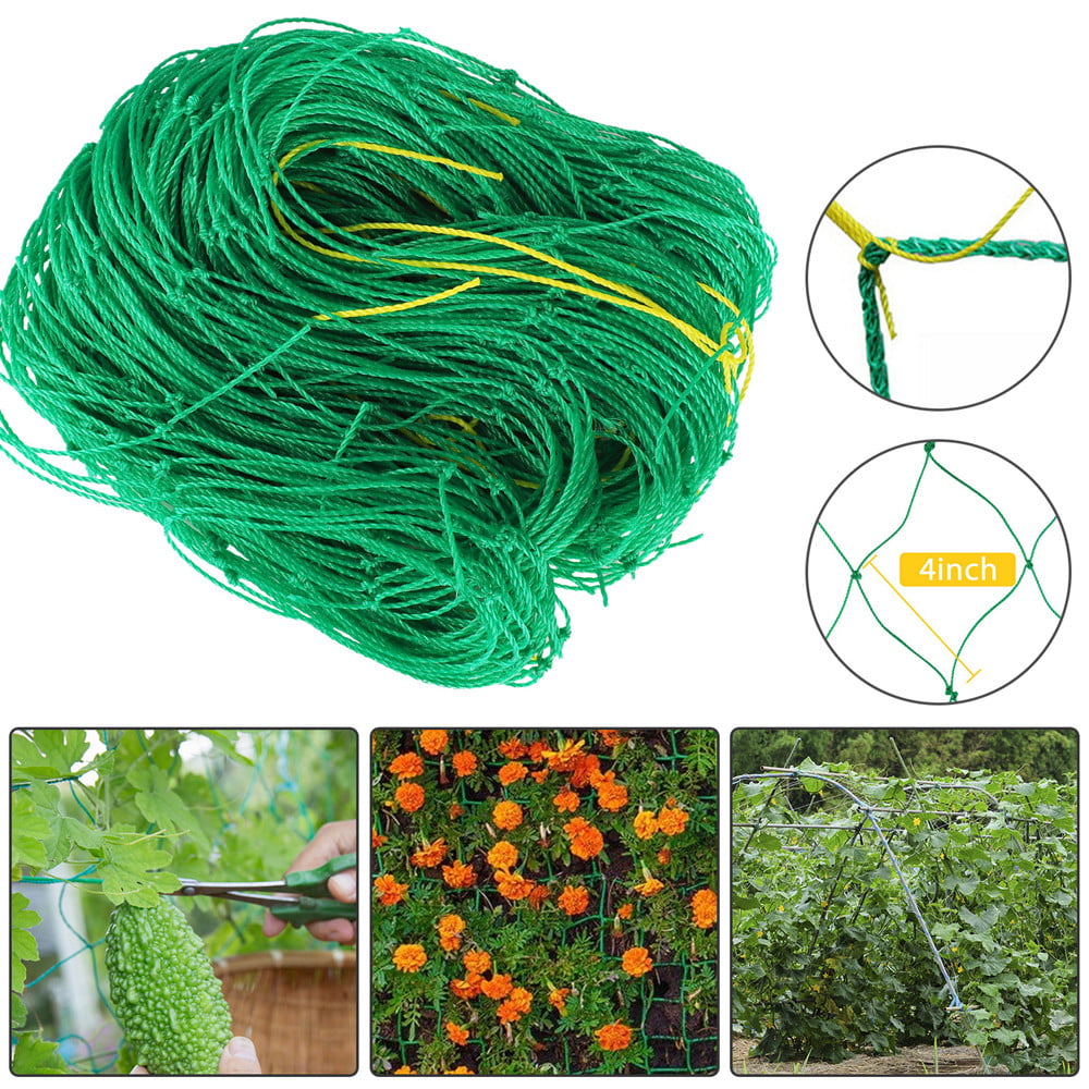 Trellis Netting For Climbing Plants Green Color W5'xL60' 