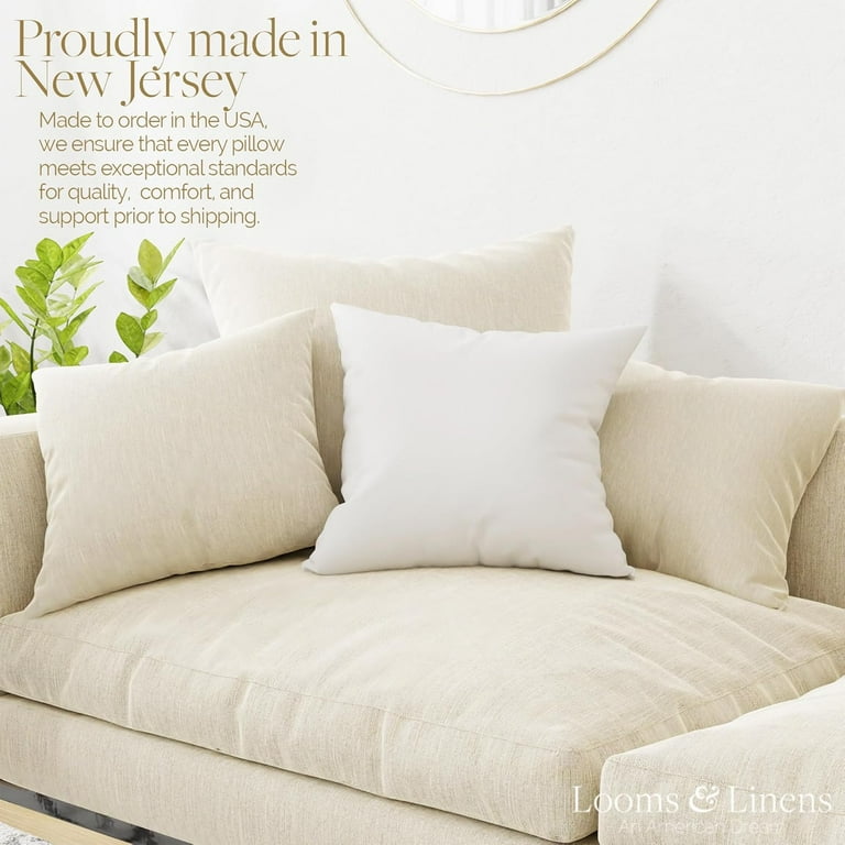 Pillow Inserts Set of Pillow Forms 18x18 inch with