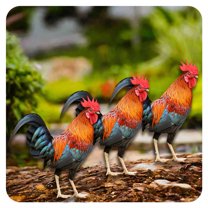 ICERUN 3Pcs Garden Statues,Acrylic Rooster Sculpture Garden Decorations,Animal Figure Statues Outdoor Statues,Style2