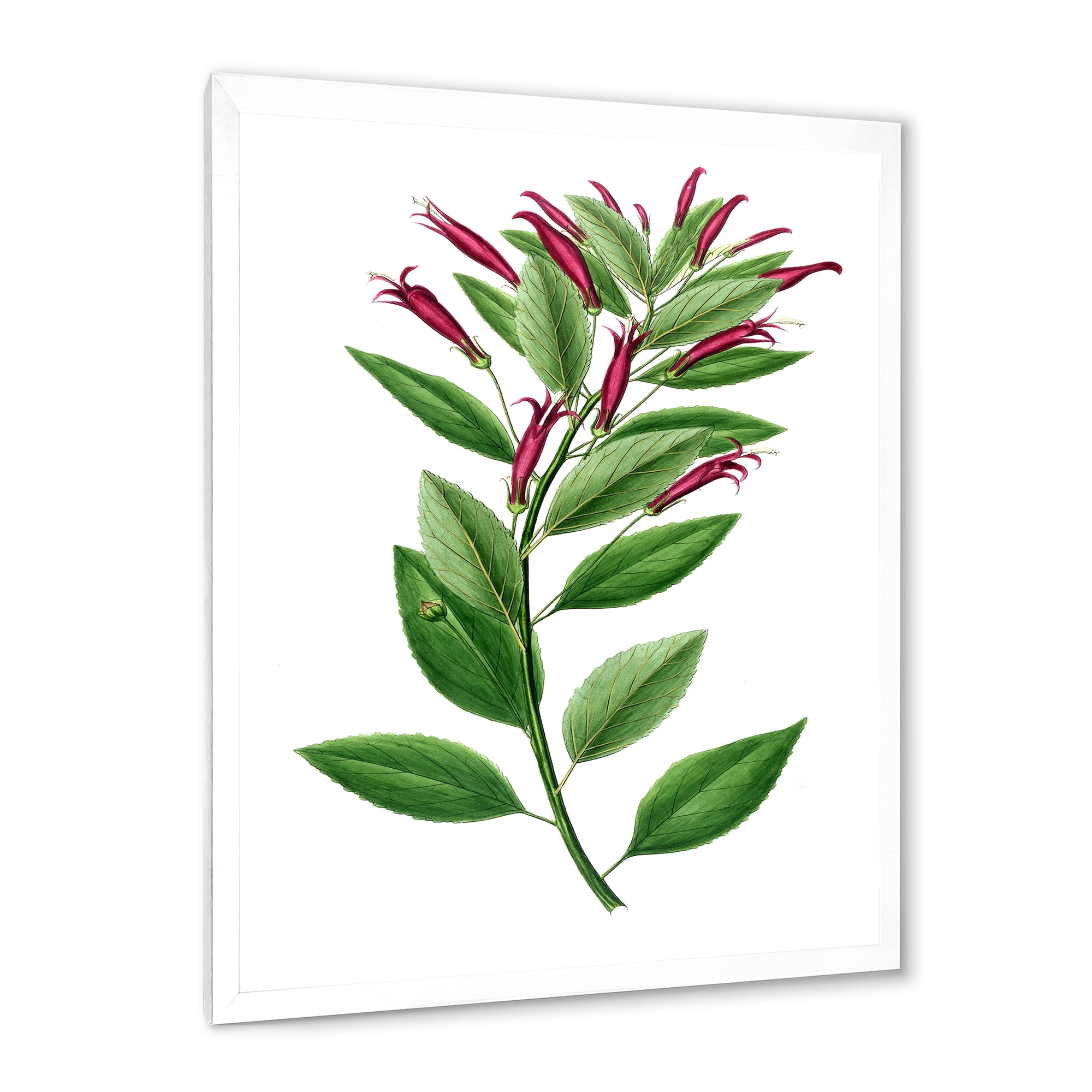 Designart 'Ancient American Flora V' Traditional Framed Art Print