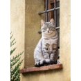 thumbnail image 2 of Eggers, Julie 25x32 Gold Ornate Wood Framed with Double Matting Museum Art Print Titled - Italy-Tuscany-Pienza Cat sitting on a window ledge along the streets, 2 of 4