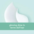 thumbnail image 5 of Love Beauty and Planet Positively Shiny 2X Concentrated nourishing Moisturizing Daily Conditioner with Indian Lilac & Clove Leaf, 6.75 fl oz, 5 of 10