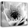 thumbnail image 1 of Erin Berzel 36x36 Gallery Wrapped Canvas Wall Art Titled - Classic Lotus Square, 1 of 4