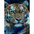 thumbnail image 2 of Cuadros Decorativos 5D DIY Diamond Painting L a Roche Tiger Kits Full Square Drill Art Craft (CK130) Wdftyju embutido en tela, 2 of 8