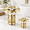 Dual Mode Golden 2 Pc, variant on 2 Pack Dark Black All Metal Universal Fit Bathroom Sink Stopper with Hair Catcher