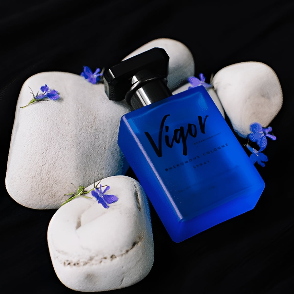 RawChemistry Vigor – Pheromone Infused Cologne Spray for Men, Men's Cologne with Pheromones, Premium Men's Fragrance with Pheromones, 1 Fl Oz