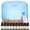 1Pc Light Wood Grain + 10 Bottles of Essential Oil, variant on 16.91 oz Essential Oil Diffuser with 10 Essential Oils, 7-Color LED Aromatherapy Diffuser, Cool Mist Humidifier for Home, Bedroom, Office