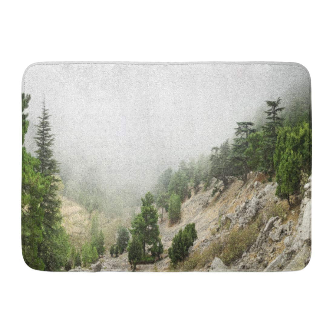 GODPOK White Old Cedar of Lebanon Cedrus Libani Forest in The Mist and