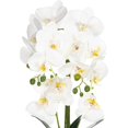 thumbnail image 4 of Artificial Orchid Arrangements with Large Vase 20-24 Inch Fake Flower Table Centerpiece Home Decor Indoor (Large White), 4 of 5