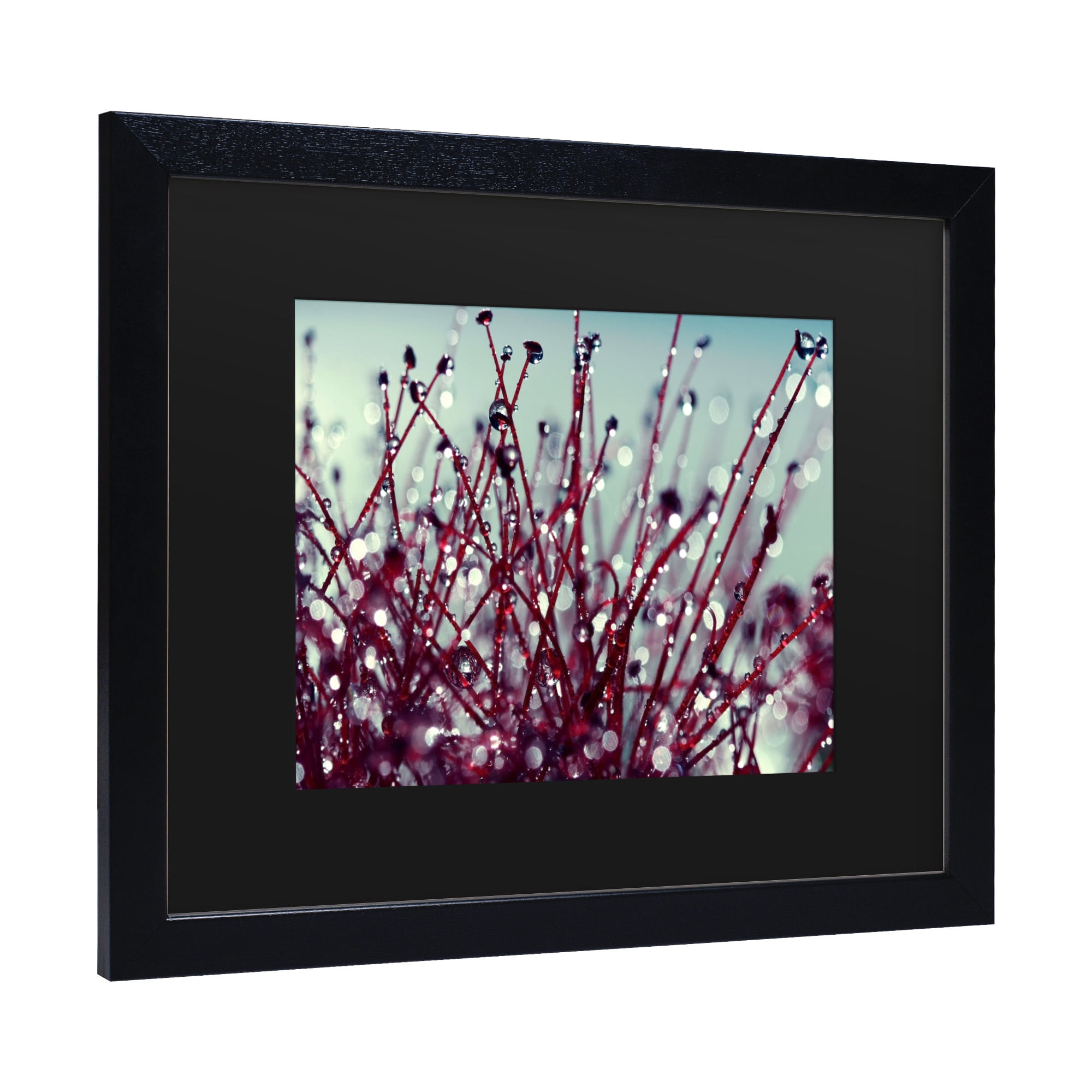 Trademark Fine Art 'Morning Tunes' Canvas Art by Beata Czyzowska Young