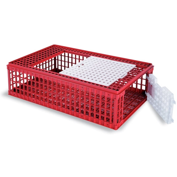 Poultry Shipping Crate, Red, 37.40" x 22.24" x10.62"