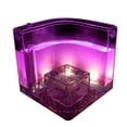 thumbnail image 1 of MesaSe LED Ant Farm Castle with Eatable Gel Insect Ecology Feeding Case Learning Science Educational Toys Ants Nest Classroom Experiment Item for Kids, 1 of 11