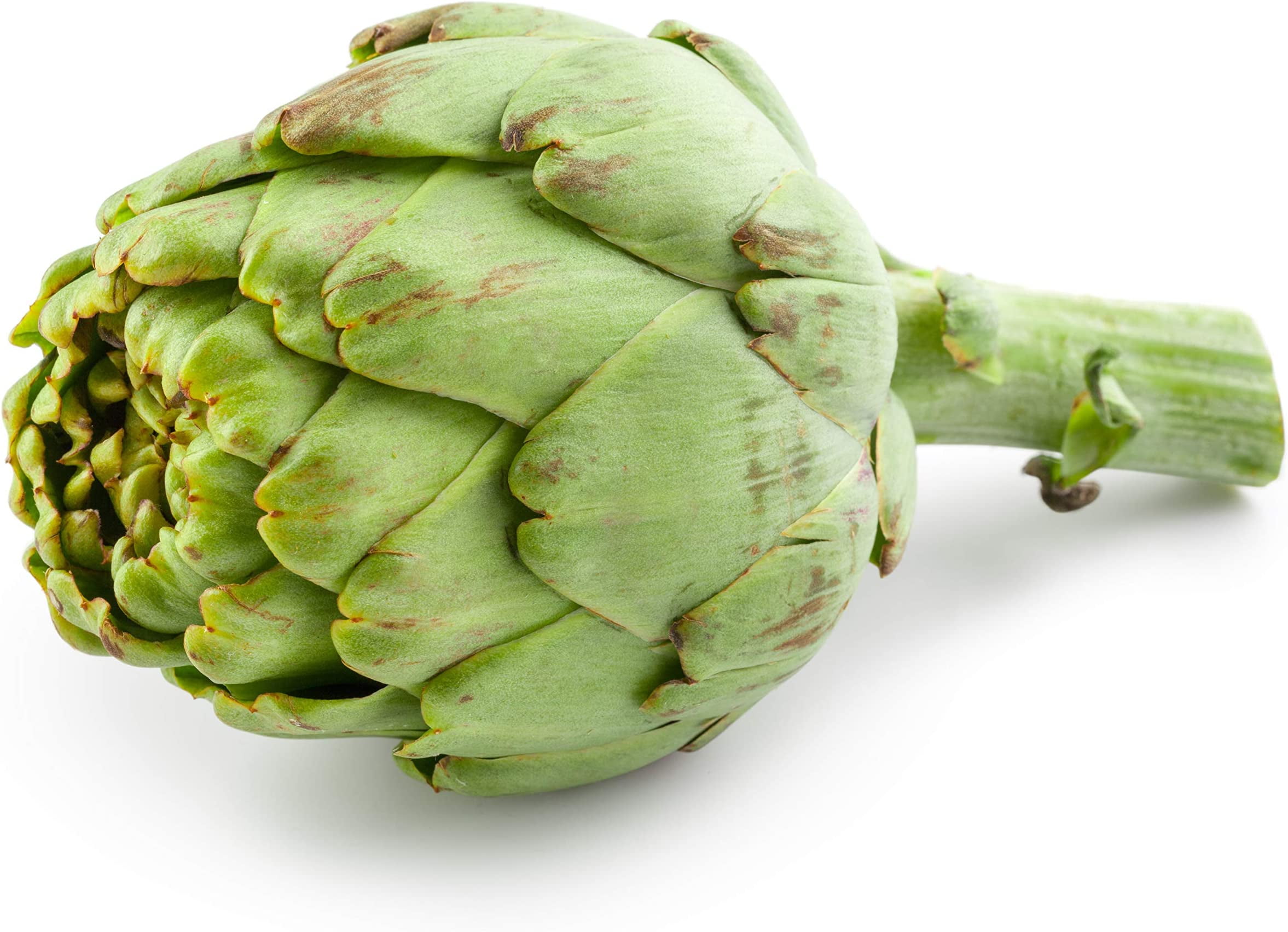 Exotic Globe Artichoke Seeds for Planting 100+ Seeds Rare Garden