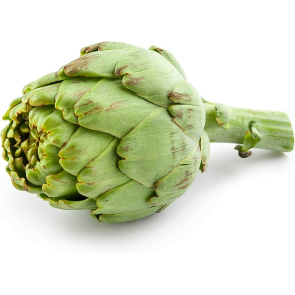 Exotic Globe Artichoke Seeds for Planting - 100  Seeds - Rare Garden Vegetable Seeds