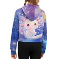 thumbnail image 6 of Chaqlin Galaxy Cute Axolotl Quarter Zip Up Sweatshirts for Kids with Pocket Oversize Plus Size Cozy Sweatshirt for Camping Fishing Weekend Size 13-14, 6 of 7