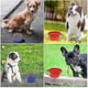 thumbnail image 3 of Collapsible Travel Bowls for Dogs and Cats, 2-Pack, 350ml, Blue & Red, 3 of 5