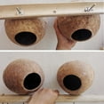 thumbnail image 6 of Natural Coconut Hamster Hideaway, Bird and Small Animal Toy, 6 of 7
