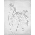thumbnail image 2 of Lettered and Lined 15x18 Black Ornate Wood Framed with Double Matting Museum Art Print Titled - Retreat Botanical 3, 2 of 4