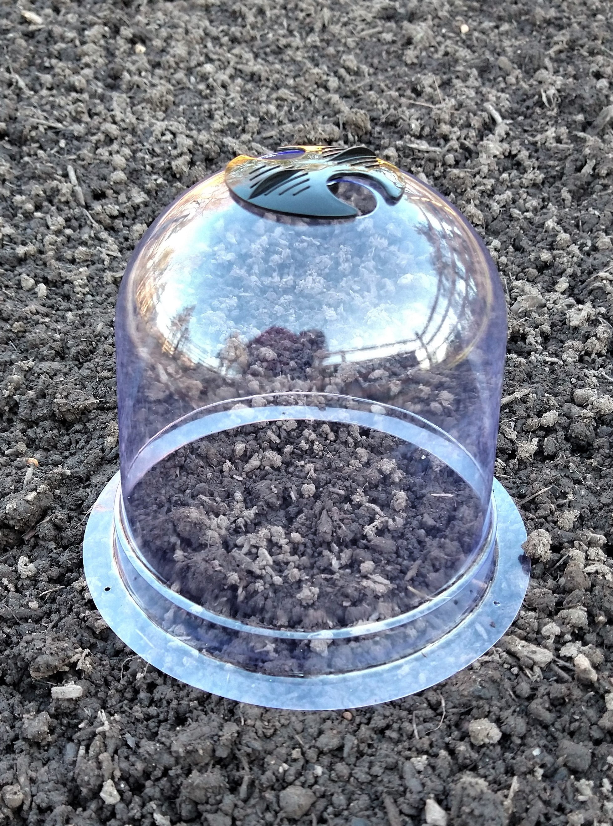 6-Pack! GrowAway Small Reusable Plastic Mini Greenhouse, Garden Cloche Dome