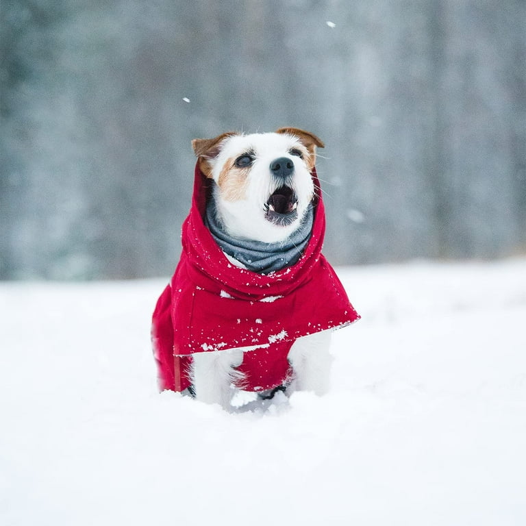 Hurtta extreme clearance warmer dog jacket