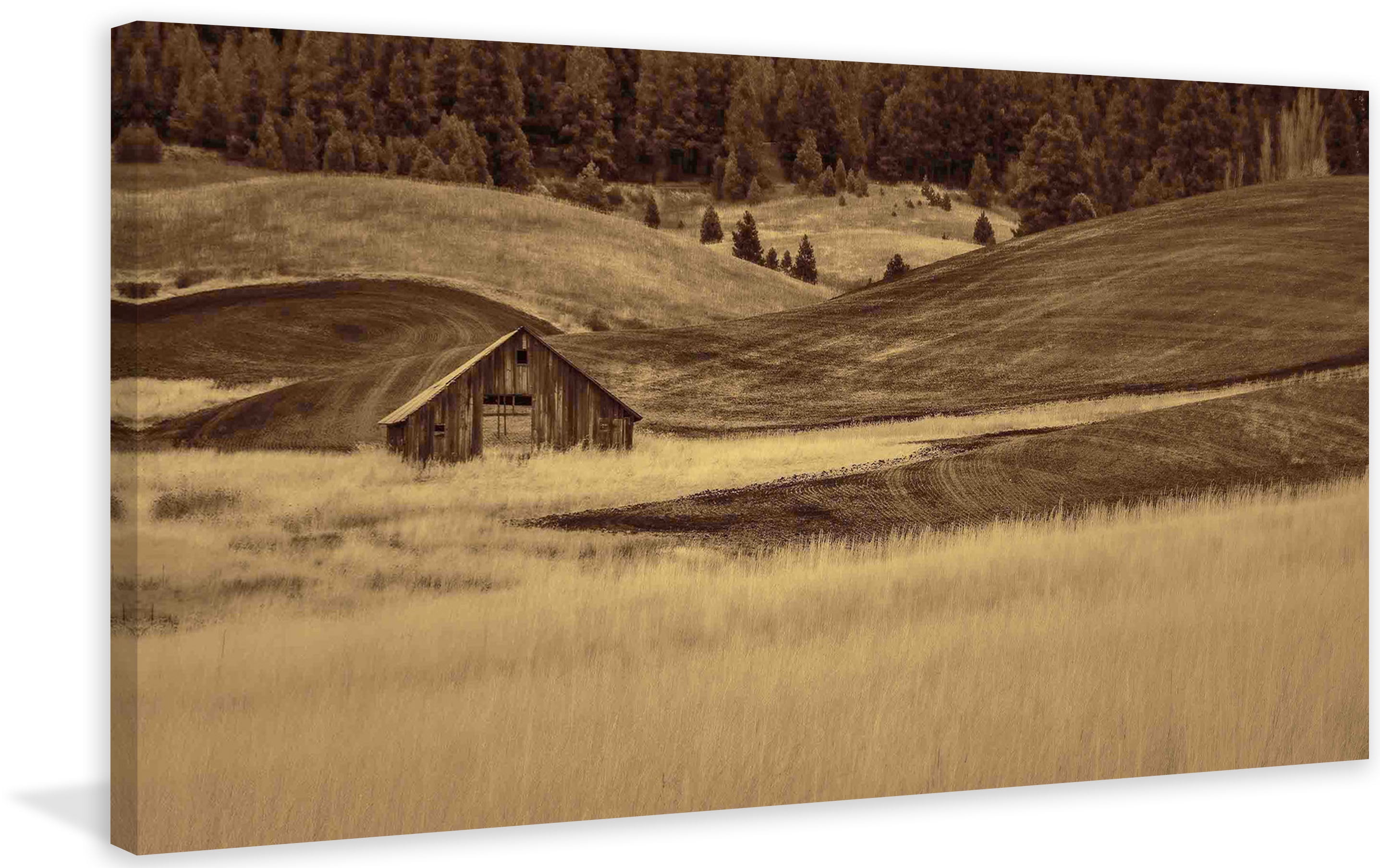 "Brown Barn in the Blonde Grasses" Painting Print on Canvas