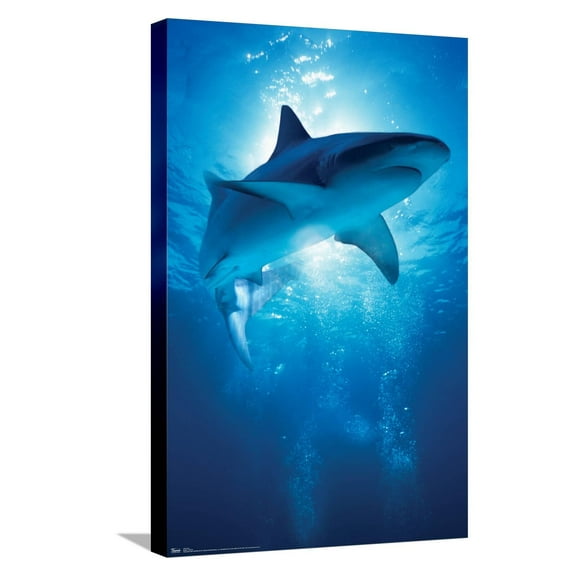 Shark - Depths Canvas Wall Poster, 14.725" x 22.375"