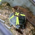 thumbnail image 3 of OULII Bearded Dragon Leash Traction Rope Faux for Outdoor Walks 1Pack, 3 of 8