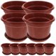 thumbnail image 1 of unbranded 10Ud Contenedores Plásticos Para Plantas Con Drenaje Ideales Para Almacenamiento Color Oscuro, 1 of 6