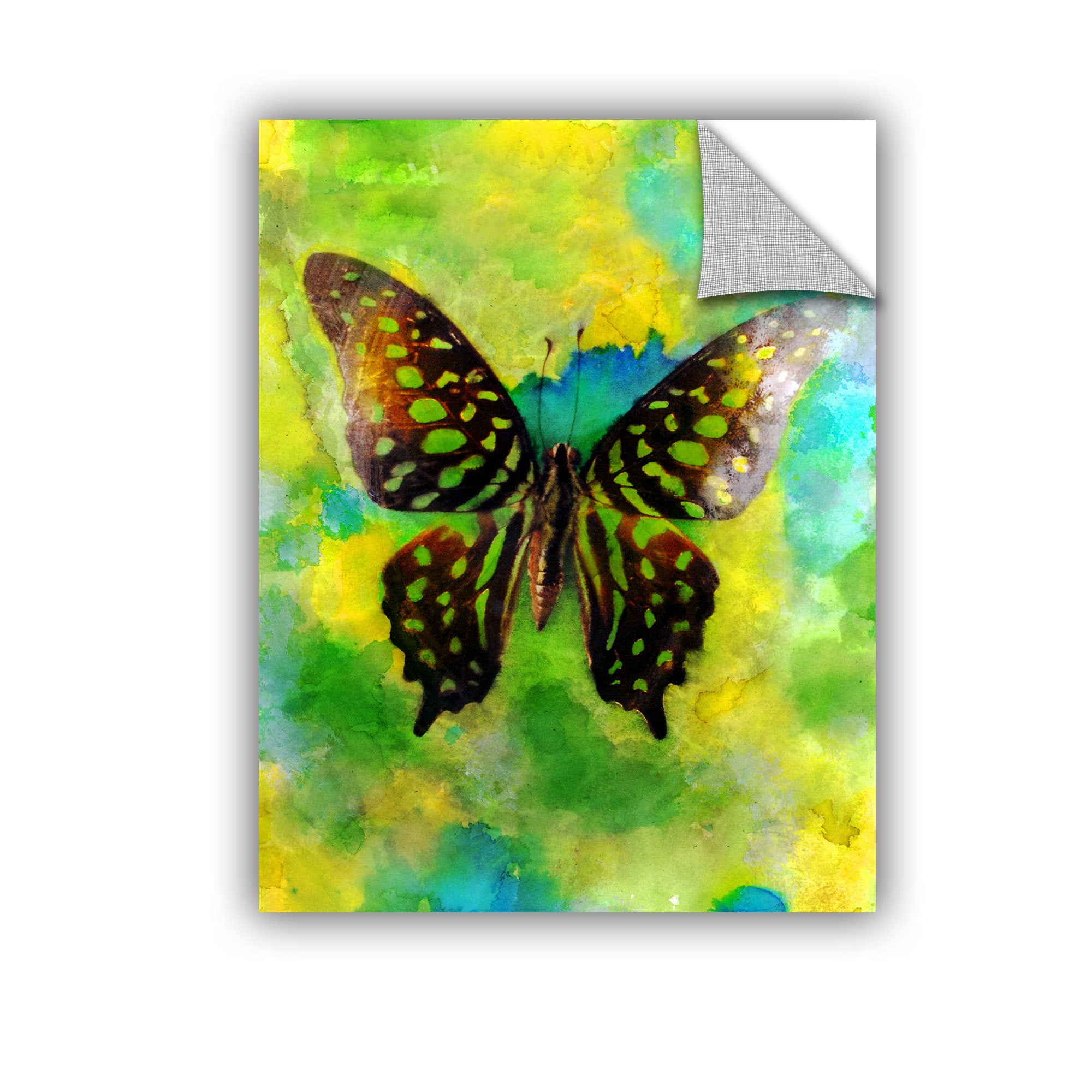 ArtWall Elena Ray "Butterfly" Art Appeals Removable Wall Art